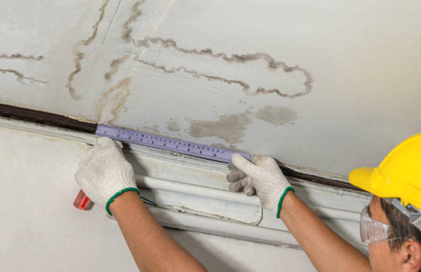 Reliable Basement Water Removal contractor in Aledo, IL by Water Damage Irwin